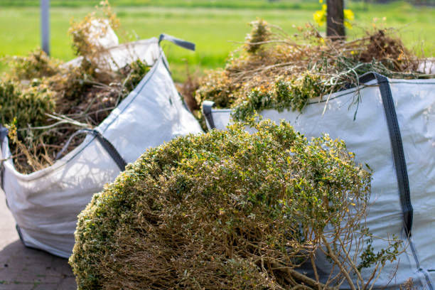 Best Same-Day Junk Removal  in Creston, OH